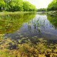 Nature et forêt