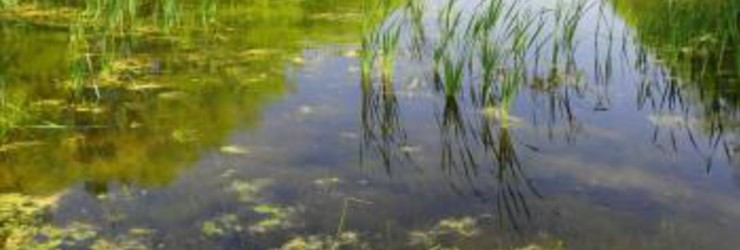 Natuur en Bos : wandelen, fietsen, ontspannen | Van der Valk Hotel Brugge