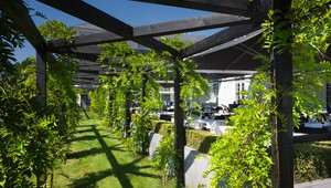 Pergola